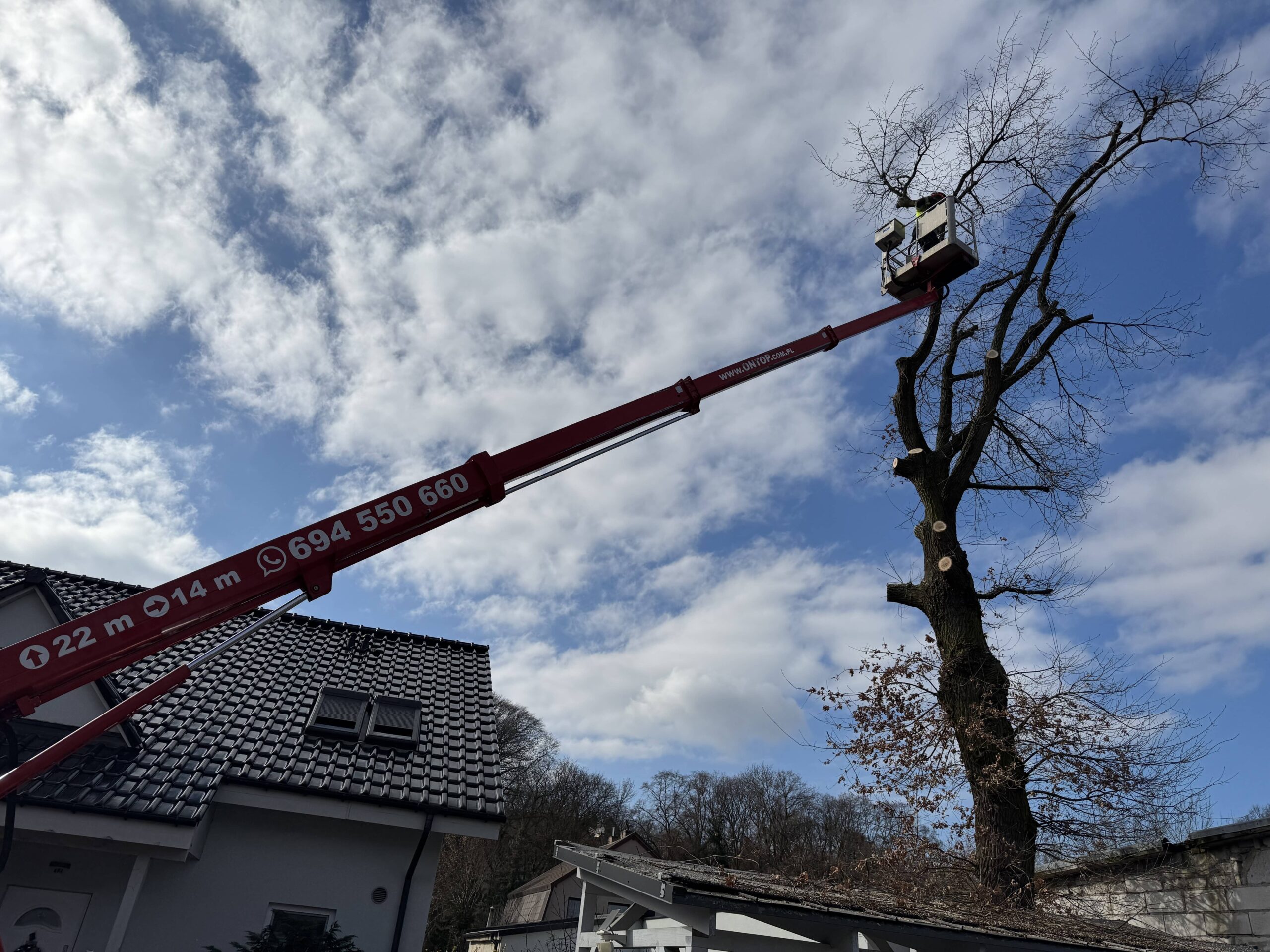 Cięcie drzew na prywatnej posesji