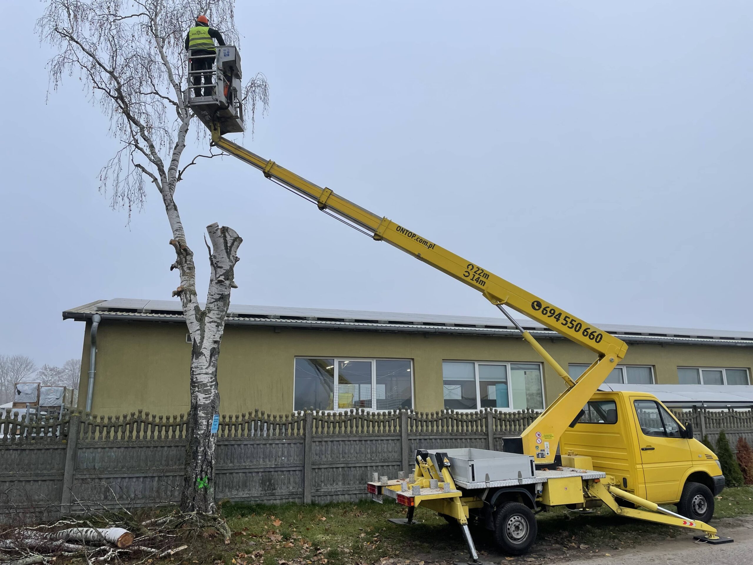 Jesienne cięcie drzew w Stargardzie