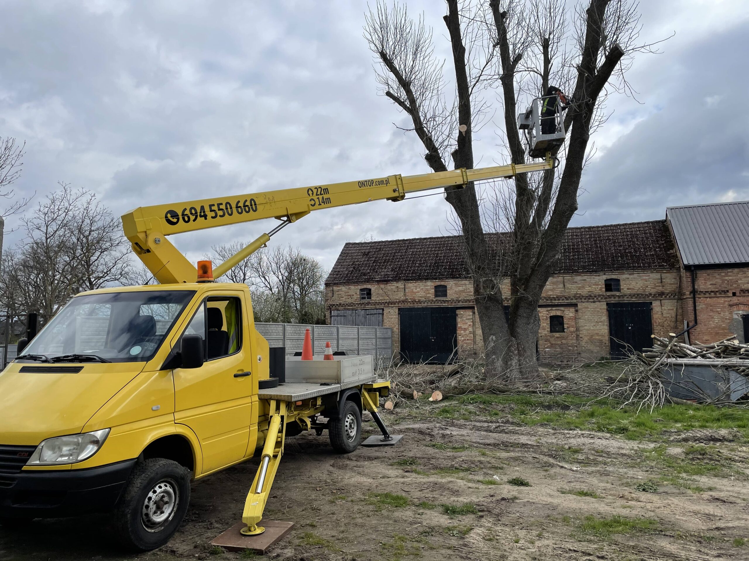 Przycięcie drzewa ile kosztuje