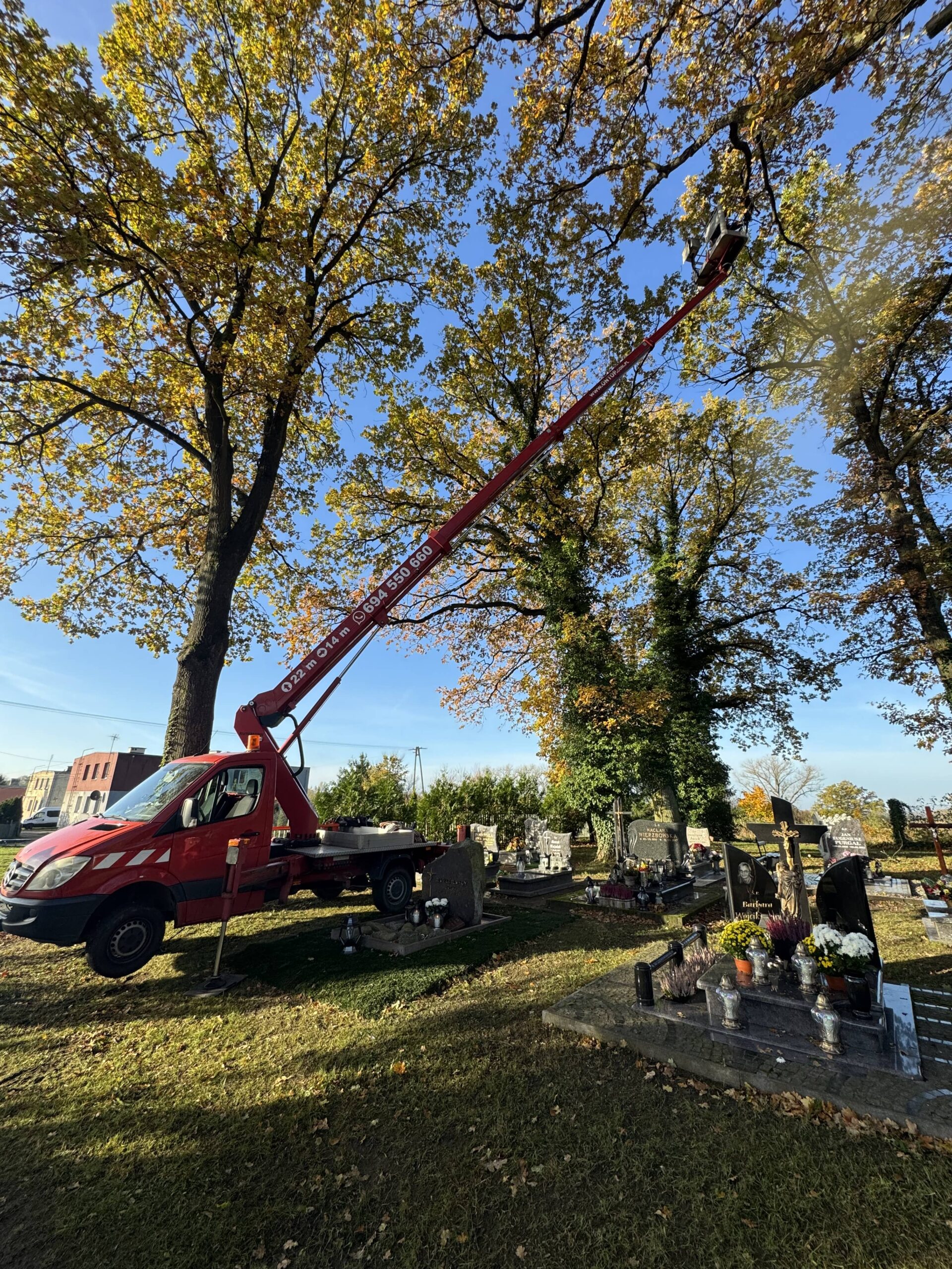 Cięcia techniczne gałęzi